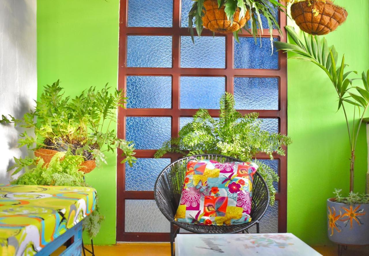 Arbol Cafe Hotel Caicedonia Ngoại thất bức ảnh