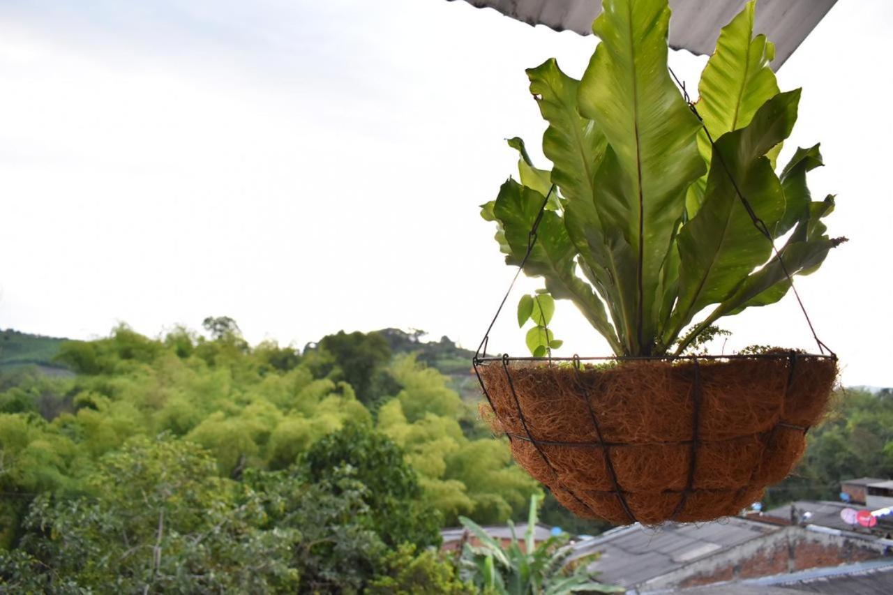Arbol Cafe Hotel Caicedonia Ngoại thất bức ảnh